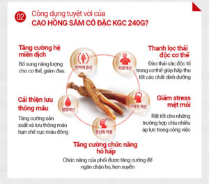Công dụng tốt của Cao Hồng Sâm 365 Hàn Quốc