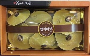 Nấm linh chi Hàn Quốc 3 cô gái màu vàng chanh