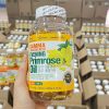 Viên uống nội tiết tố nữ hoa anh thảo Hàn Quốc 300 viên