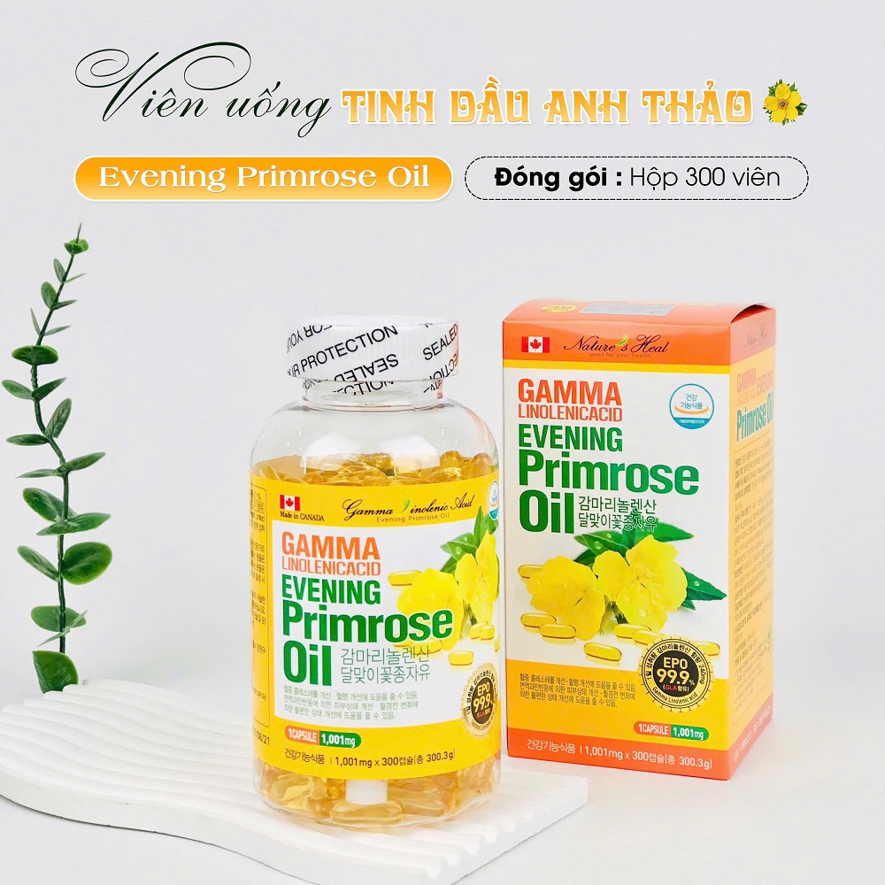Hình ảnh thực tế tinh dầu hoa anh thảo 300 viên Hàn Quốc Kanghwa Hình ảnh thực tế tinh dầu hoa anh thảo 300 viên Hàn Quốc Kanghwa