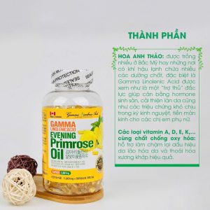Hình ảnh thực tế tinh dầu hoa anh thảo 300 viên Hàn Quốc Kanghwa