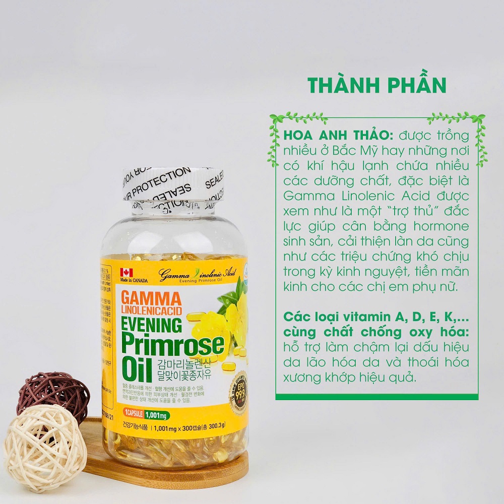 Hình ảnh thực tế tinh dầu hoa anh thảo 300 viên Hàn Quốc Kanghwa Hình ảnh thực tế tinh dầu hoa anh thảo 300 viên Hàn Quốc Kanghwa