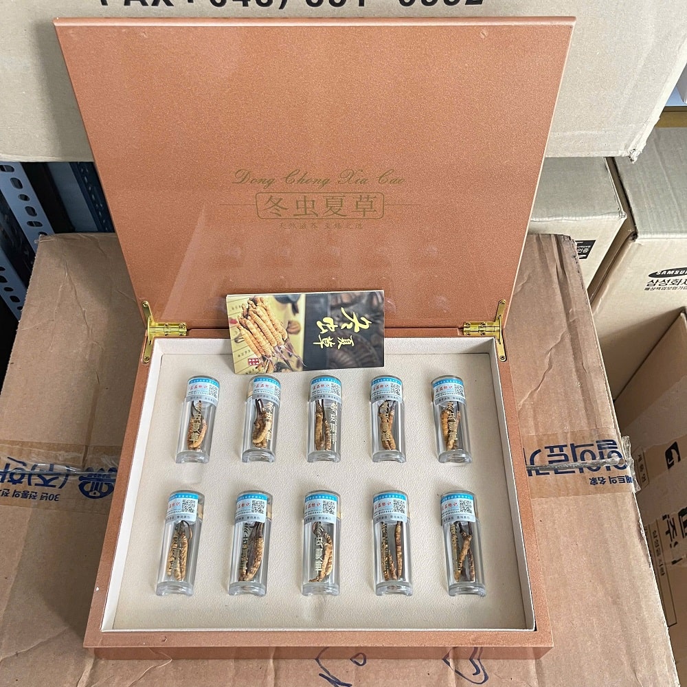 Hộp đông trùng hạ tự nhiên thảo Tây Tạng Hộp đông trùng hạ tự nhiên thảo Tây Tạng