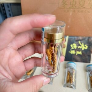 Hộp tròn bên trong chứa trùng