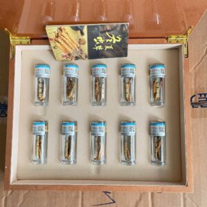 Hộp đông trùng hạ tự nhiên thảo Tây Tạng