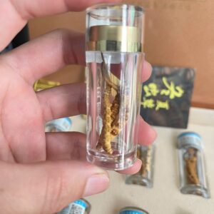 Hộp tròn bên trong chứa trùng