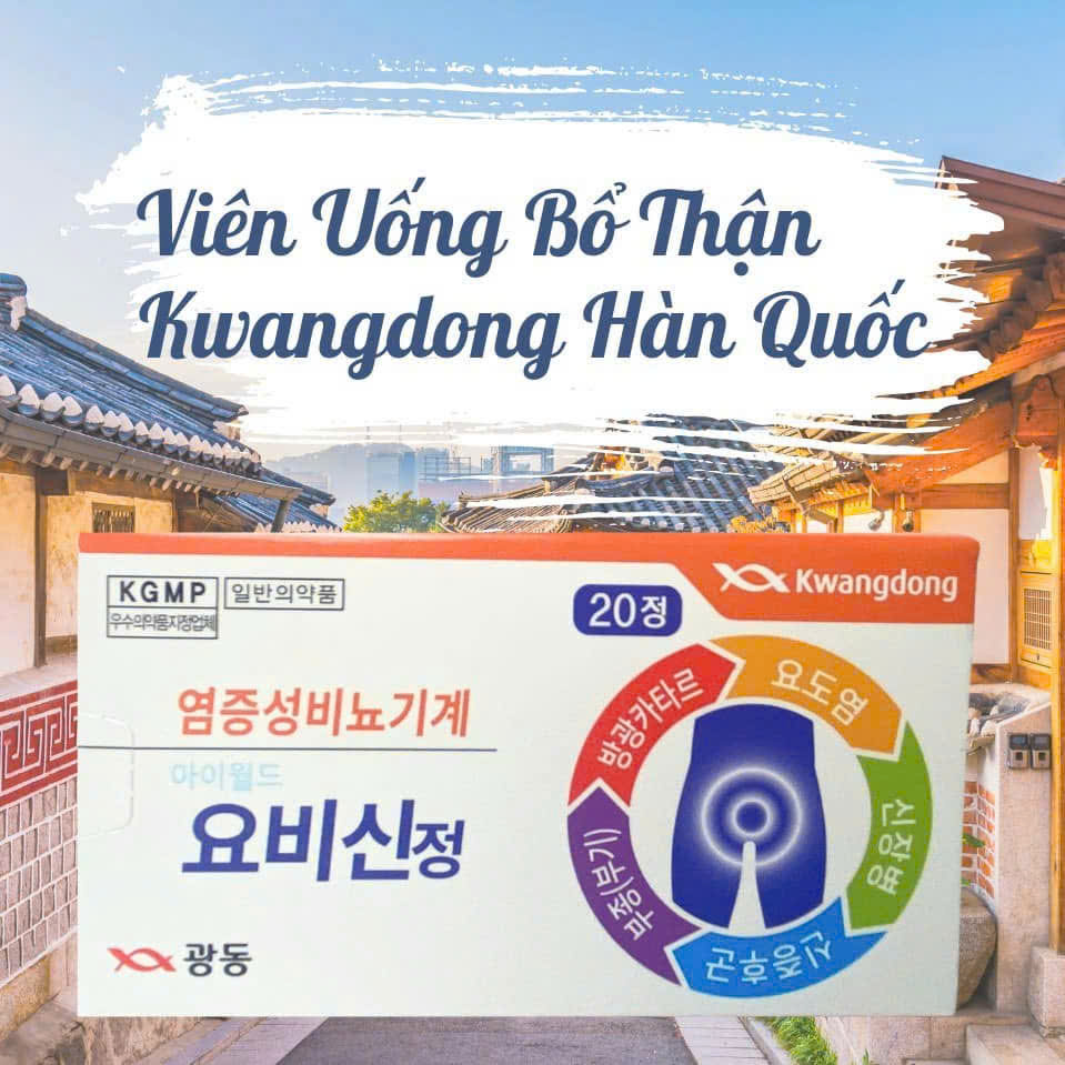 Viên uống bổ thận Kwangdong Hàn Quốc hộp lớn 360 viên Viên uống bổ thận Kwangdong Hàn Quốc hộp lớn 360 viên