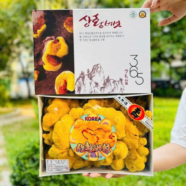 Nấm thượng hoàng Hàn Quốc 365 hộp 0,5kg