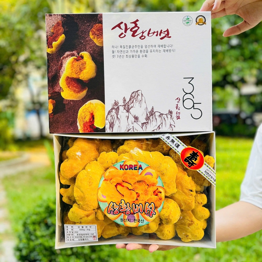 Nấm thượng hoàng Hàn Quốc 365 hộp 0,5kg Nấm thượng hoàng Hàn Quốc 365 hộp 0,5kg