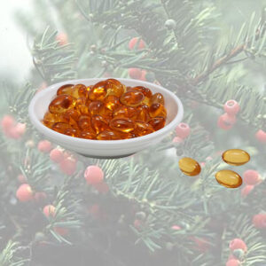 Mỗi viên 450mg tinh dầu thông đỏ