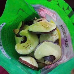 Nấm linh chi Kana có công dụng tốt cho người dùng