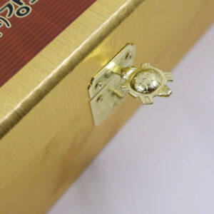 Khóa con rùa của sản phẩm nước đông trùng