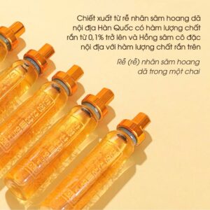 Mỗi hộp sâm núi gồm 30 ống x 20ml tinh chất bổ dưỡng