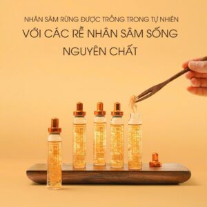 Mỗi ống gồm 20ml và cả rễ nhâm sâm núi