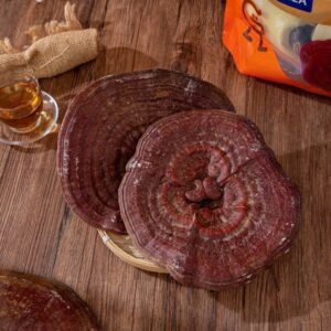 Mặt trước tai nấm linh chi đỏ Achimmadang thượng hạng