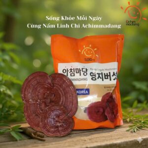 Nấm linh chi thượng hạng Achimmadang Hàn Quốc giàu chất dinh dưỡng