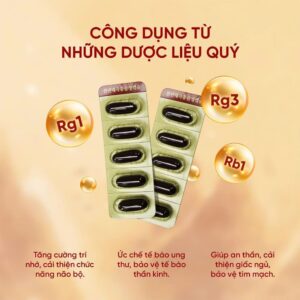Mỗi vỉ đạm sâm bao gồm 5 viên